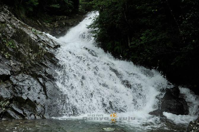 雷竞技比分